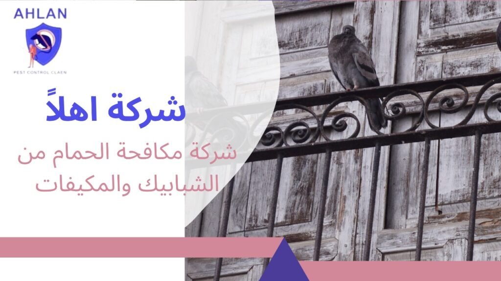 شركة مكافحة الحمام من الشبابيك والمكيفات