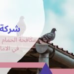 افضل مكافحة الحمام عن الاسطح في الامارات بحلول دائمة بخصم10%