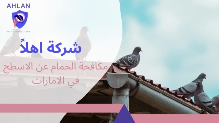 افضل مكافحة الحمام عن الاسطح في الامارات بحلول دائمة بخصم10%