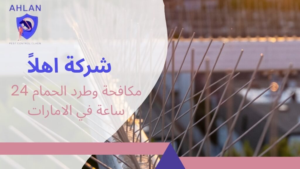 مكافحة وطرد الحمام 24 ساعة في الامارات