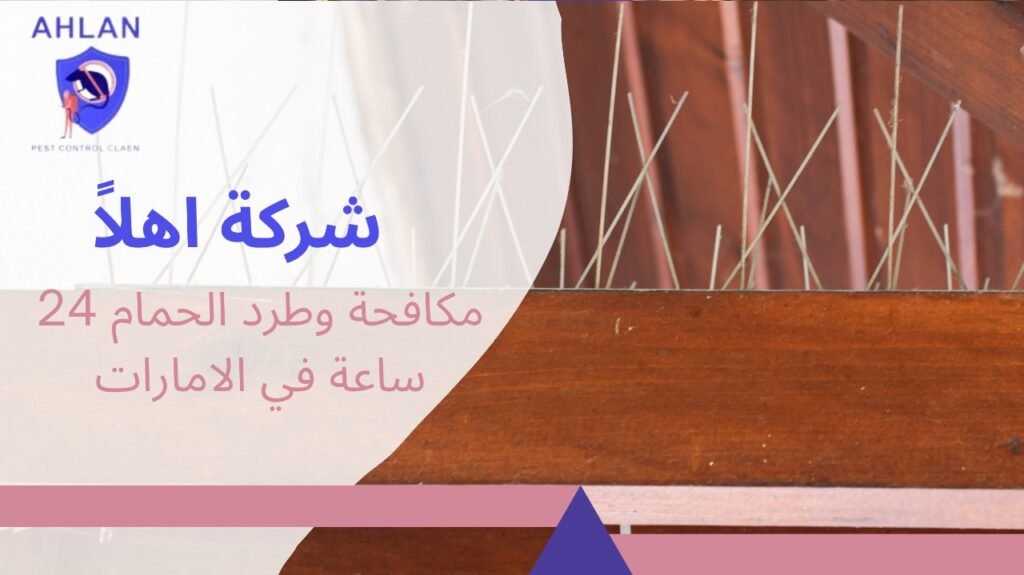 مكافحة وطرد الحمام 24 ساعة في الامارات