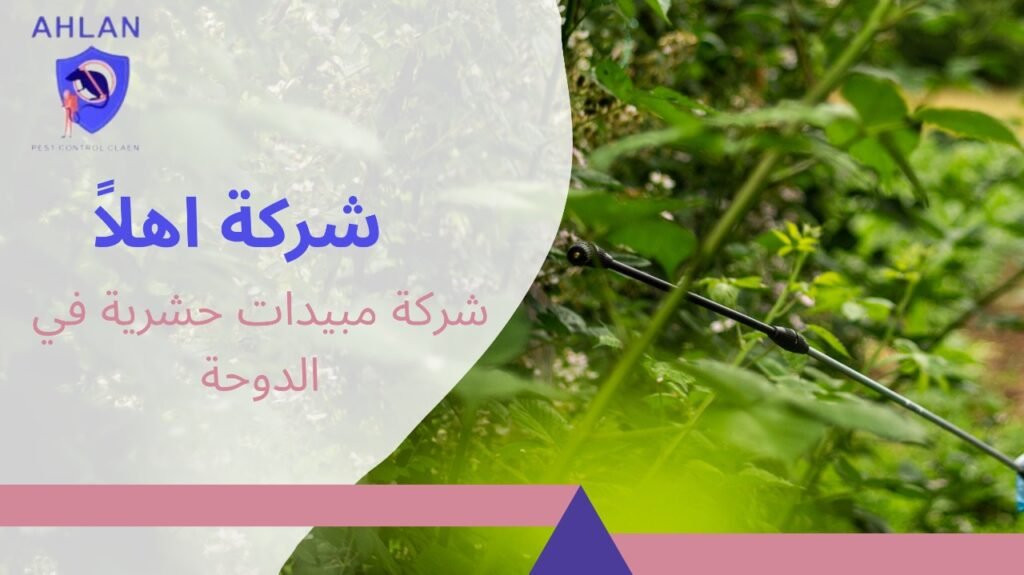 شركة مبيدات حشرية في الدوحة