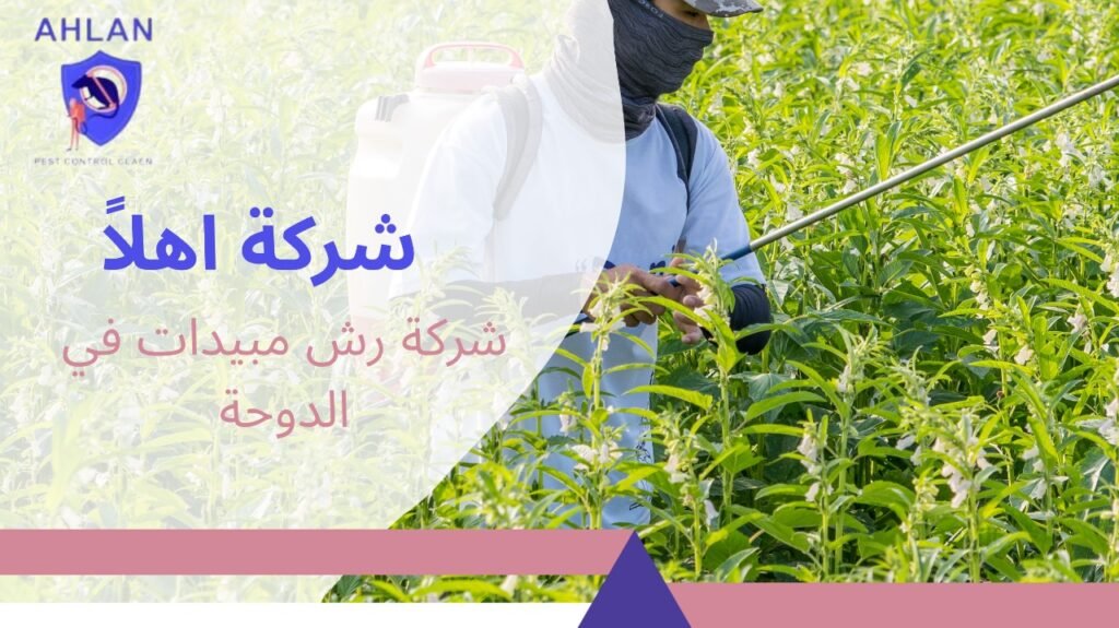 شركة رش مبيدات في الدوحة