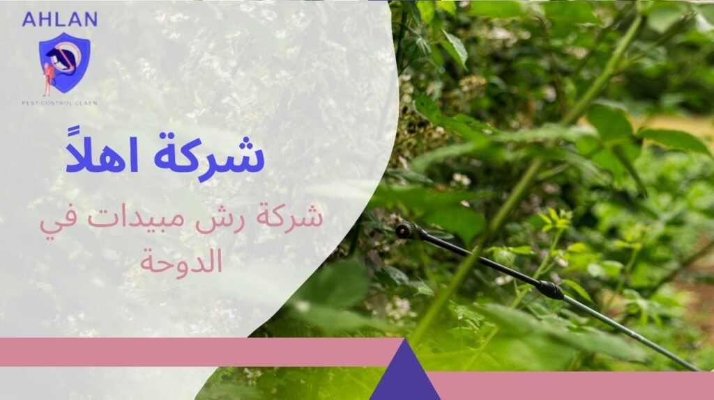 شركة رش مبيدات في الدوحة