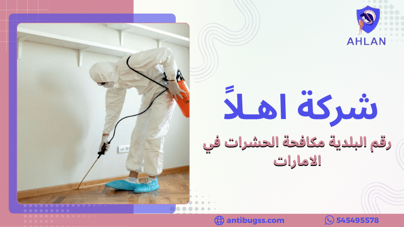 رقم البلدية مكافحة الحشرات في الامارات