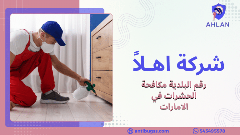 رقم البلدية مكافحة الحشرات في الامارات