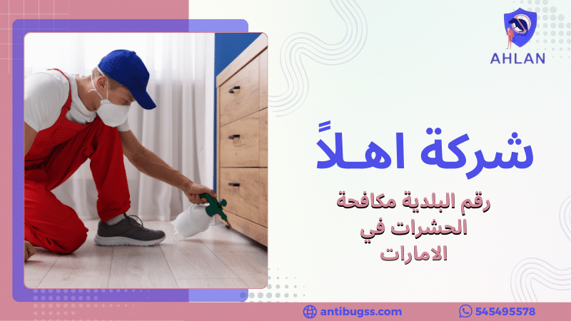 رقم البلدية مكافحة الحشرات في الامارات