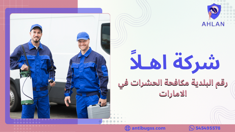 رقم البلدية مكافحة الحشرات في الامارات