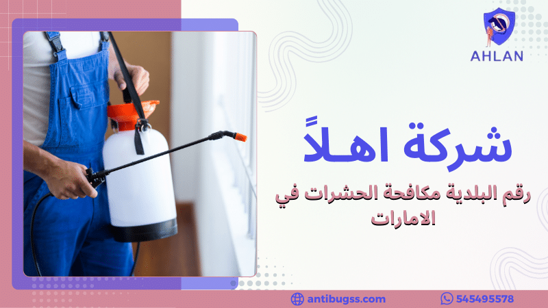 رقم البلدية مكافحة الحشرات في الامارات