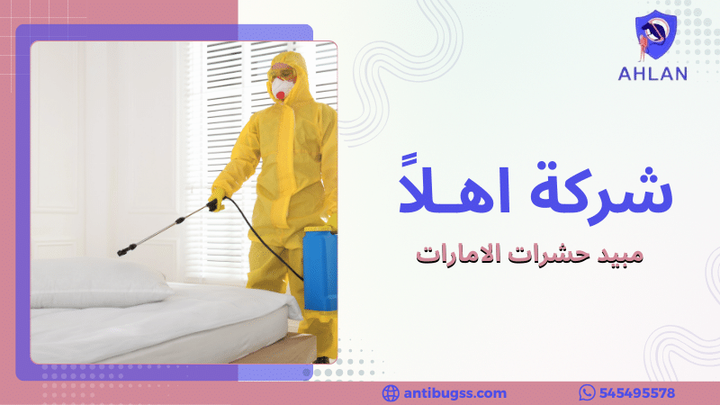 مبيد حشرات الامارات