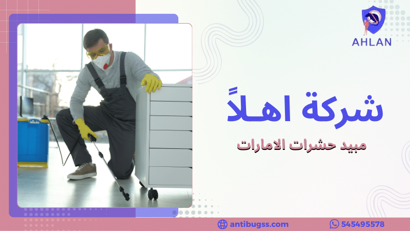مبيد حشرات الامارات