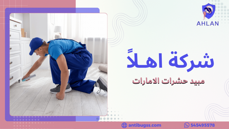 مبيد حشرات الامارات