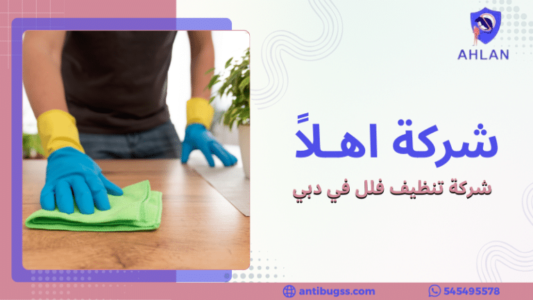 شركة تنظيف فلل في دبي
