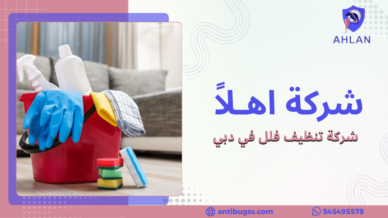 شركة تنظيف فلل في دبي