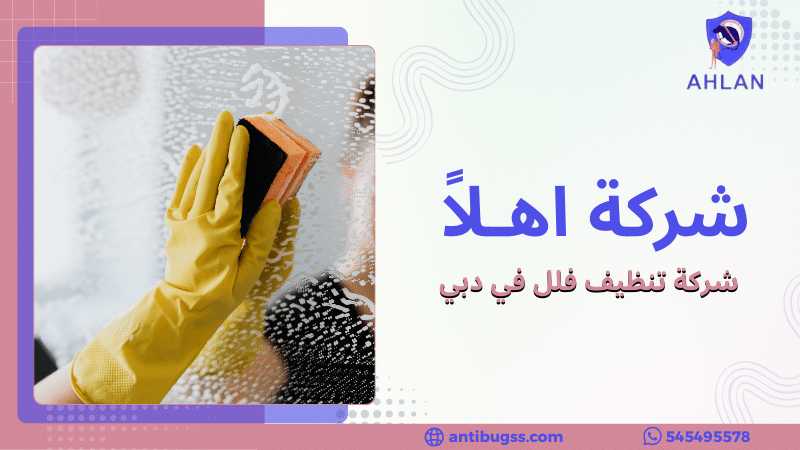 شركة تنظيف فلل في دبي