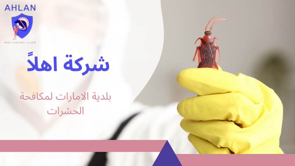 بلدية الامارات لمكافحة الحشرات