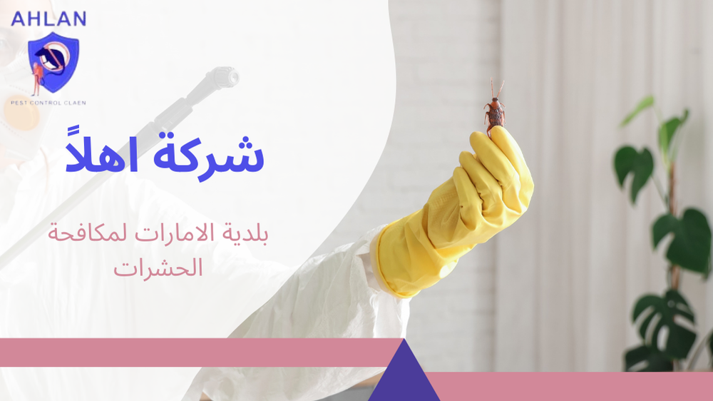 بلدية الامارات لمكافحة الحشرات