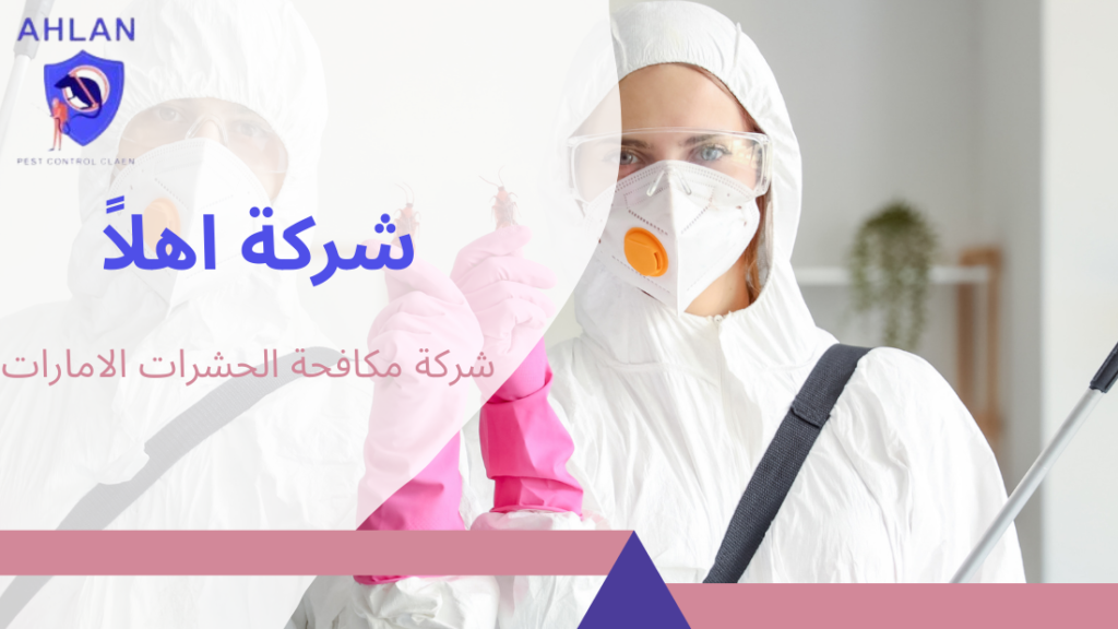 شركة مكافحة الحشرات الامارات