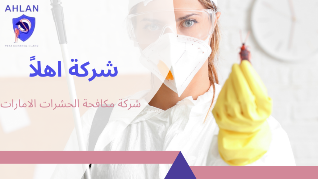 شركة مكافحة الحشرات الامارات