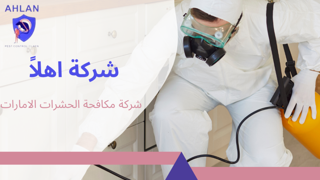 شركة مكافحة الحشرات الامارات