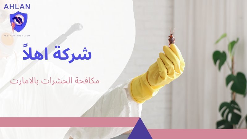 مكافحة الحشرات بالامارت