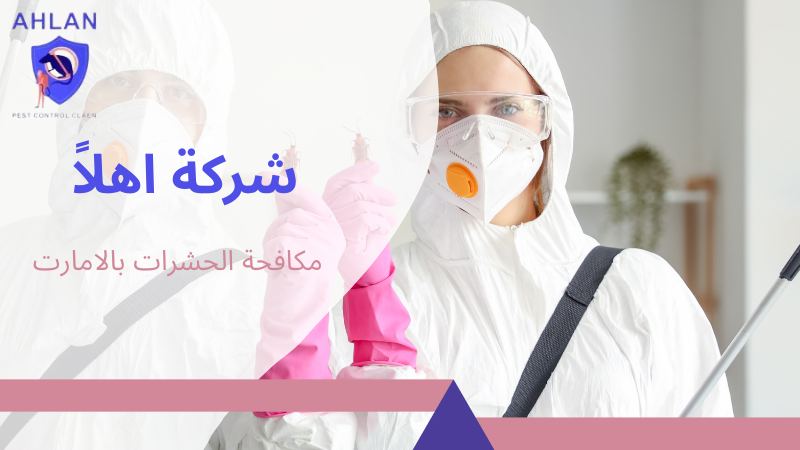 مكافحة الحشرات بالامارت