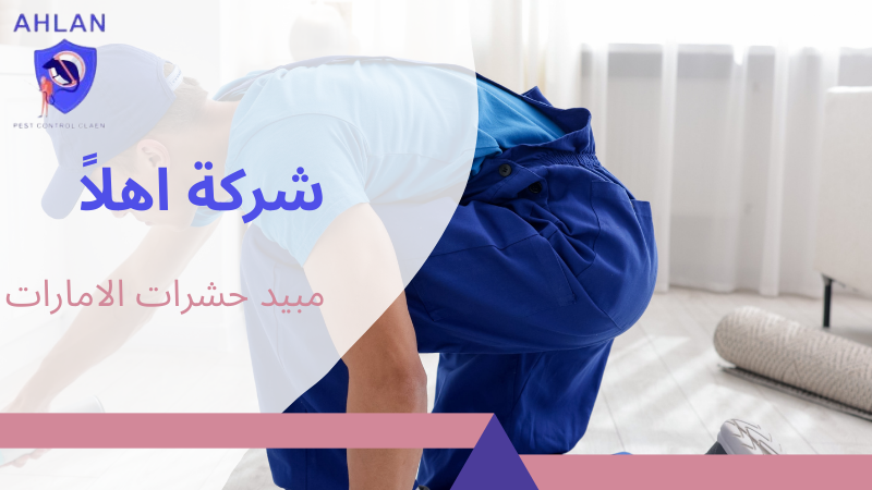 مبيد حشرات الامارات