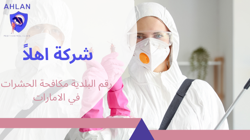 رقم البلدية مكافحة الحشرات في الامارات