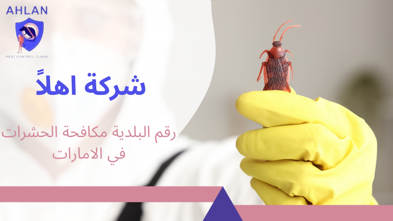 رقم البلدية مكافحة الحشرات في الامارات