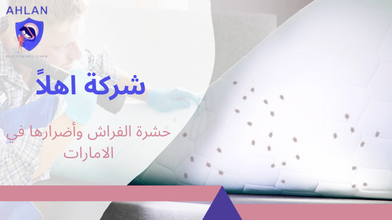 حشرة الفراش وأضرارها في الامارات