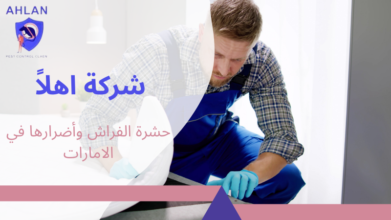 حشرة الفراش وأضرارها في الامارات