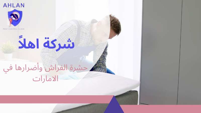 حشرة الفراش وأضرارها في الامارات