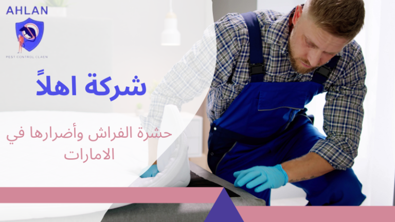 حشرة الفراش وأضرارها في الامارات
