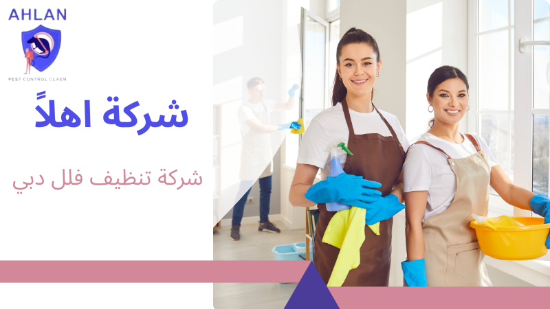 شركة تنظيف فلل دبي