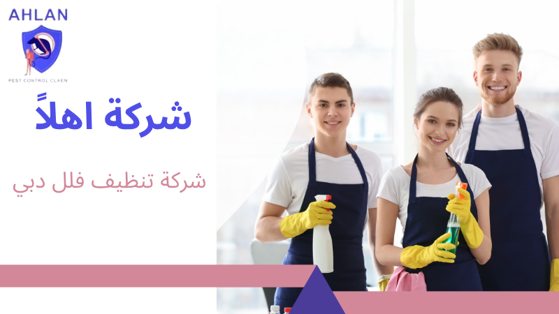 شركة تنظيف فلل دبي