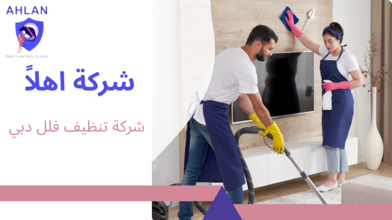 شركة تنظيف فلل دبي