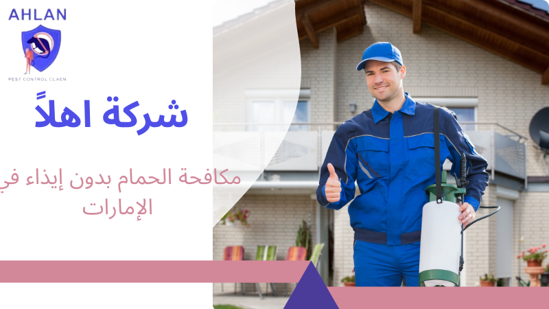 مكافحة الحمام بدون إيذاء في الإمارات