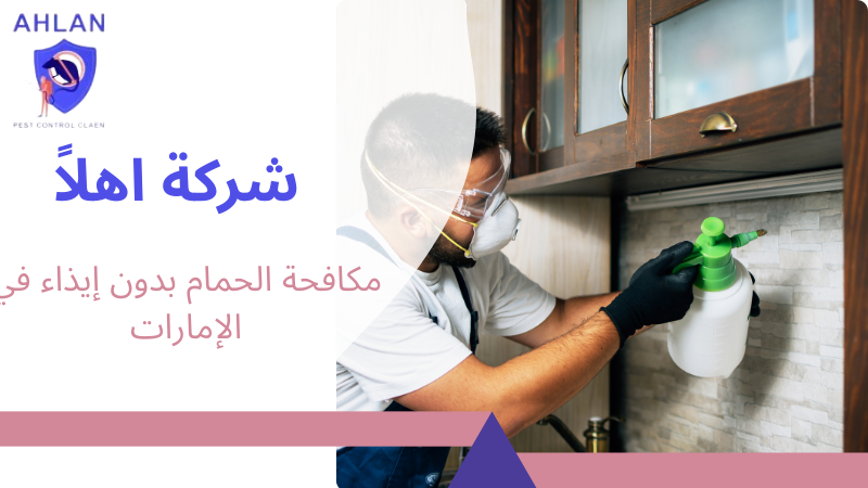 مكافحة الحمام بدون إيذاء في الإمارات