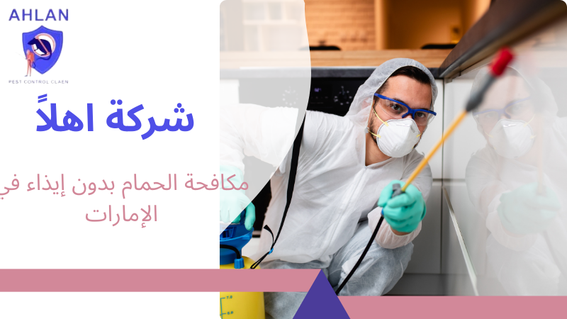 مكافحة الحمام بدون إيذاء في الإمارات