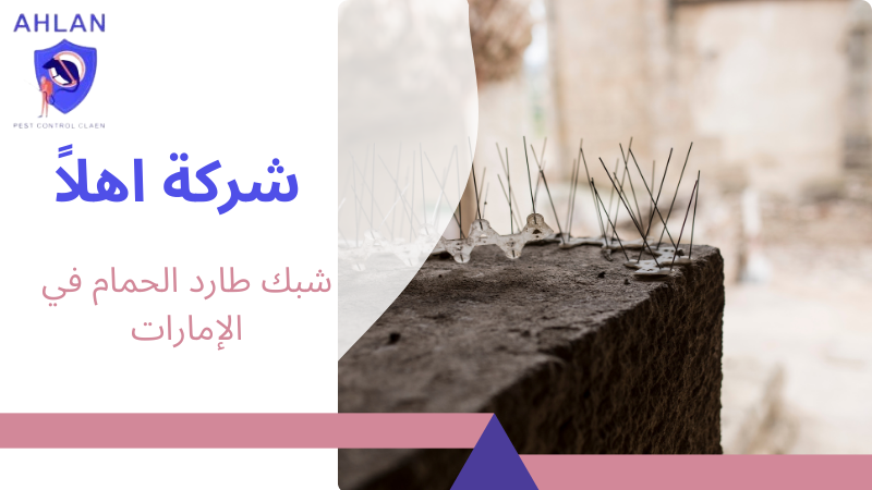 شبك طارد الحمام في الإمارات