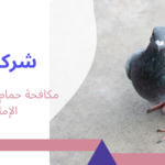 مكافحة حمام الشركات في الإمارات