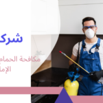 مكافحة الحمام بدون إيذاء في الإمارات