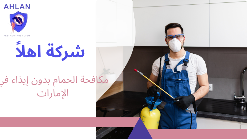 مكافحة الحمام بدون إيذاء في الإمارات