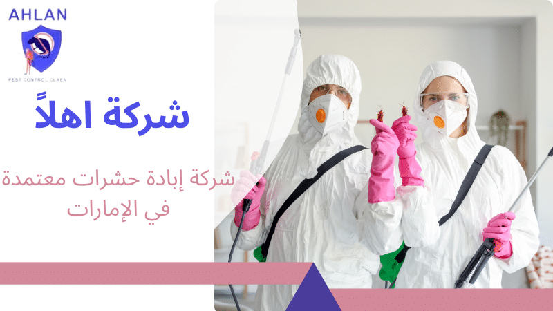 شركة إبادة حشرات معتمدة في الإمارات