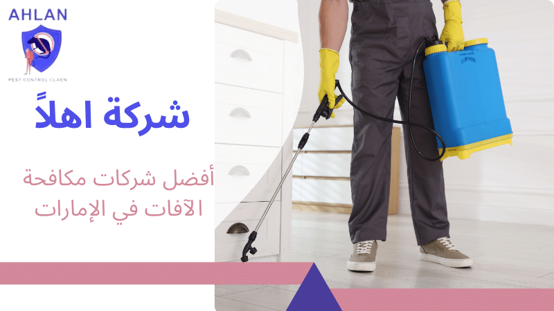 أفضل شركات مكافحة الآفات في الإمارات