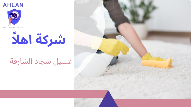 غسيل سجاد الشارقة