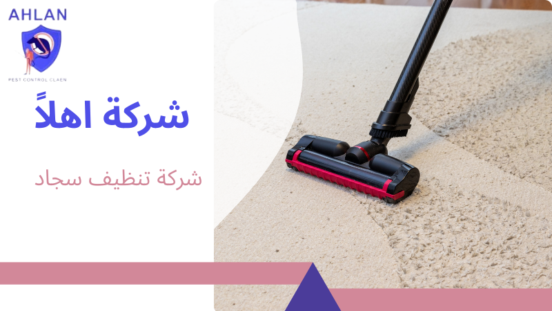 شركة تنظيف سجاد