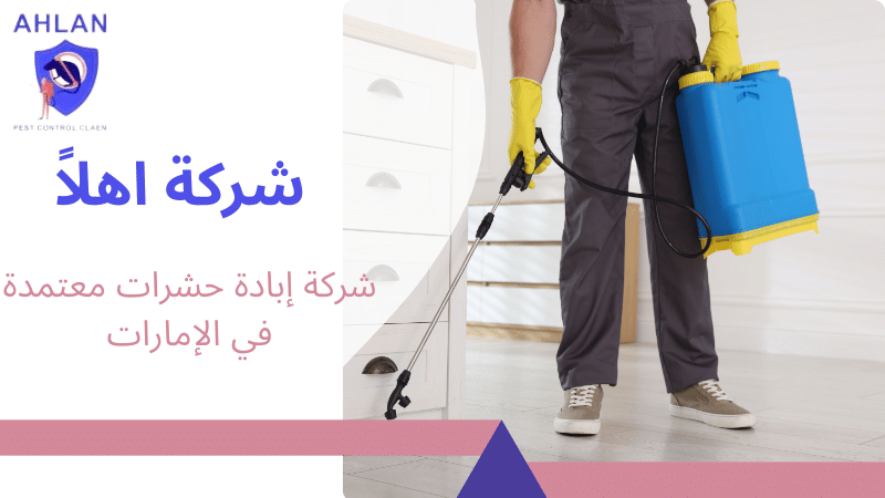 شركة إبادة حشرات معتمدة في الإمارات