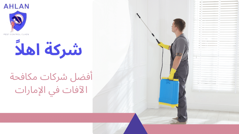 أفضل شركات مكافحة الآفات في الإمارات