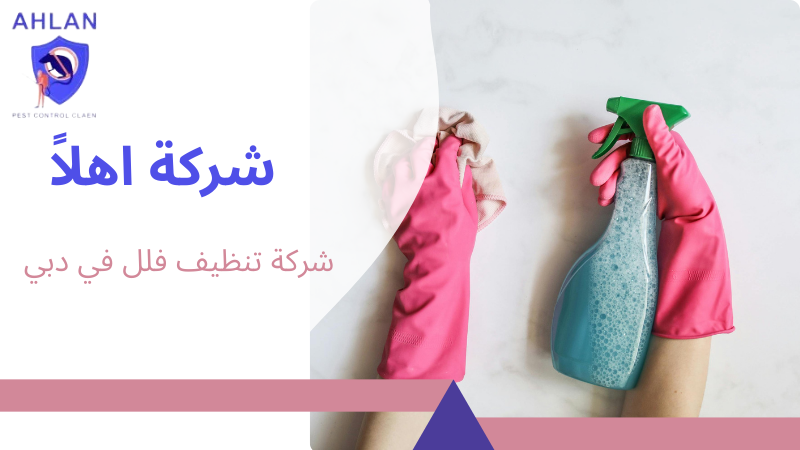 شركة تنظيف فلل في دبي